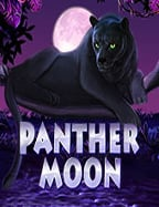 joker123 สมัคร สมาชิก และวิธีเล่นที่คุณควรรู้